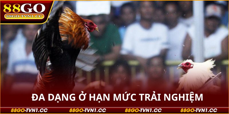 Đá gà 88GO