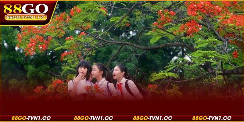 Mơ thấy đi học