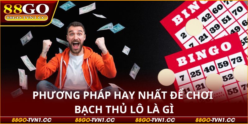 Bạch thủ lô là gì