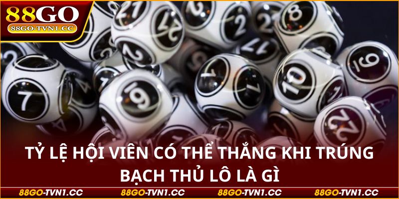 Bạch thủ lô là gì